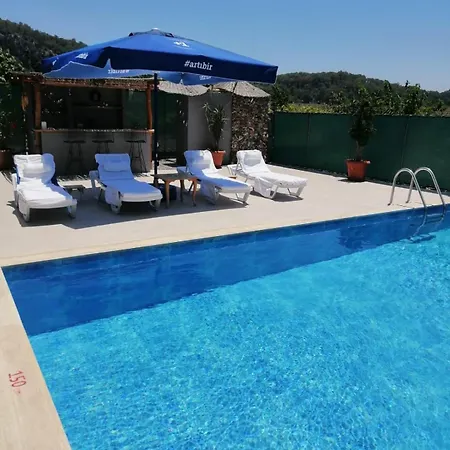 Apartament Angel
